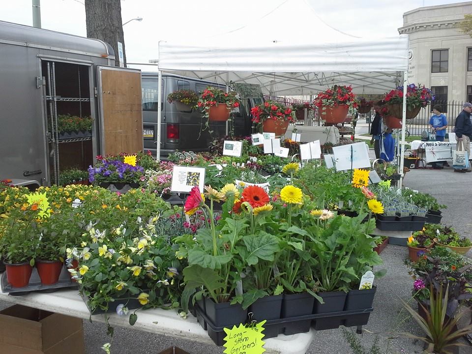 Bryn Mawr Food Market Bryn Mawr Food Market