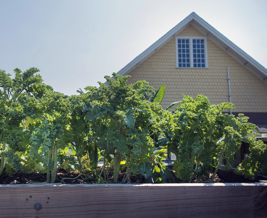 The Gables at Chadds Ford Takes Gardening to the Roof